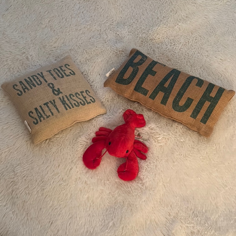Mini Coastal Themed Decorative Pillow of 2 & Red Lobster 🦞